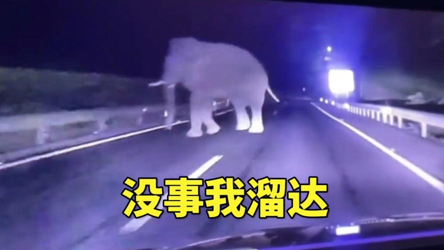 摔倒没事7天后死亡,摔倒没事7天后死亡赔偿