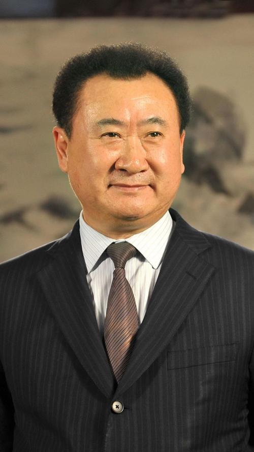 （王健林被冻结4.9亿是真的吗）