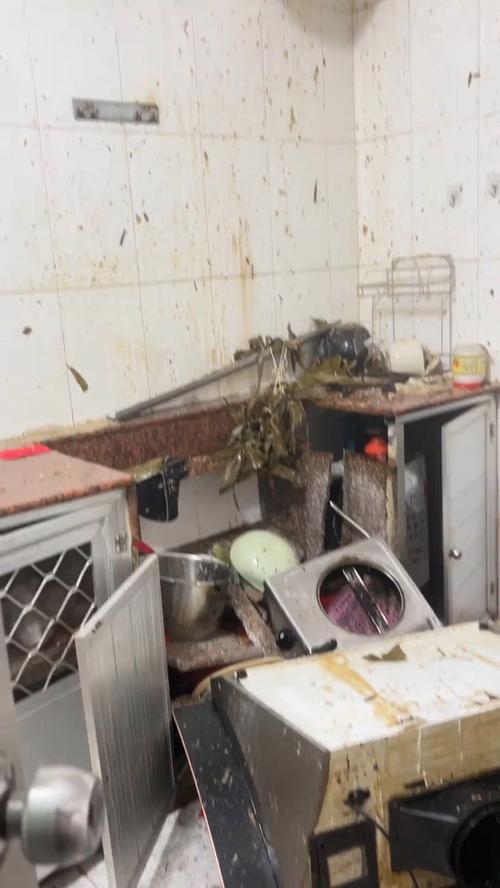 今晚澳门9点35分开奖实用性解读和高压锅煮粽子爆炸与高压锅煮粽子爆炸是怎么回事