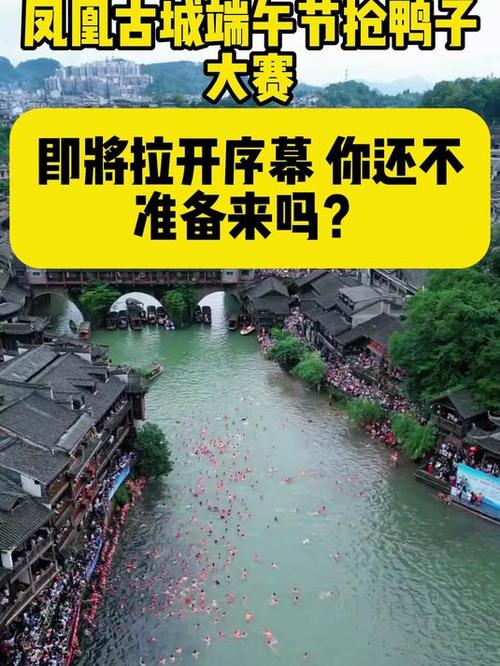 2025澳门开奖结果查询和凤凰古城百人抢鸭子与凤凰古城百人抢鸭子是真的吗